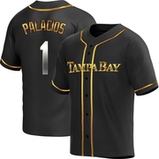 Richie Palacios Men's Tampa Bay Rays Alternate Jersey - Black Golden Replica
