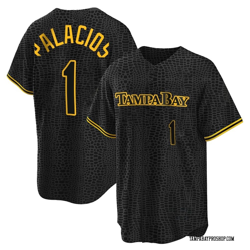 Richie Palacios Men's Tampa Bay Rays Snake Skin City Jersey - Black Replica