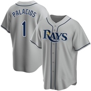Richie Palacios Youth Tampa Bay Rays Road Jersey - Gray Replica