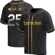 Victor Mesa Jr. Men's Tampa Bay Rays Alternate Jersey - Black Golden Replica